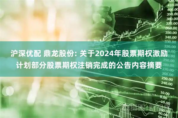 沪深优配 鼎龙股份: 关于2024年股票期权激励计划部分股票期权注销完成的公告内容摘要