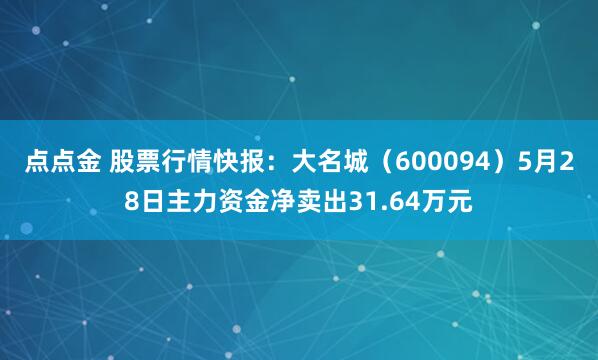 点点金 股票行情快报:大名城(600094)5月28日主力资金净卖出31.64万元