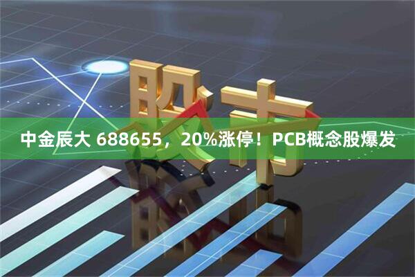 中金辰大 688655，20%涨停！PCB概念股爆发